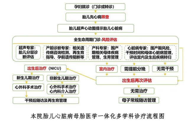 【数说2024】医学遗传中心2024年鉴(图7)