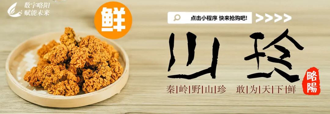 一把手谈数字乡村(图3)