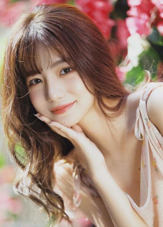 伊甸圆大象1234 - 伊甸圆大象1234下载安卓版破解版V(图1)
